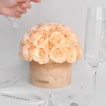 Cream spherical floral arrangement in beige vase with "MIDAS HONEY" label as hand pours water