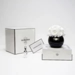 Photograph of a minimalist, modern interior setting featuring a black, glossy vase with a bouquet of white roses, positioned on a white, rectangular tray. To the left, a sleek, white box with a black trim labeled "Minoan" and "Minoan Home." In front of the box, a silver perfume bottle and a small, white, rectangular card with "Minoan Home" in black text. The background is plain white, emphasizing the elegant, sophisticated design.high quality, detailed, photograph , hd, 8k , 4k , sharp, highly detailed