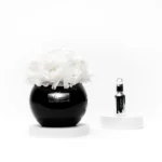 A minimalist photograph showcases a black, glossy vase filled with white artificial roses, positioned on a white circular pedestal. Beside the vase, a small silver atomizer bottle sits on another identical pedestal. The background is stark white, emphasizing the contrast between the black vase and the white flowers. The scene exudes a modern, clean aesthetic, with a focus on elegance and simplicity.high quality, detailed, photograph , hd, 8k , 4k , sharp, highly detailed