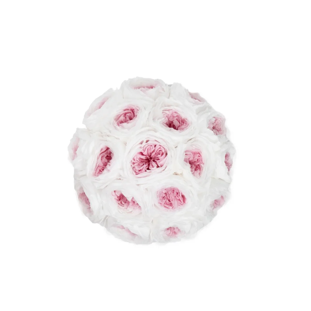 Round bouquet of numerous white roses with soft pink centers arranged in tight spherical formation