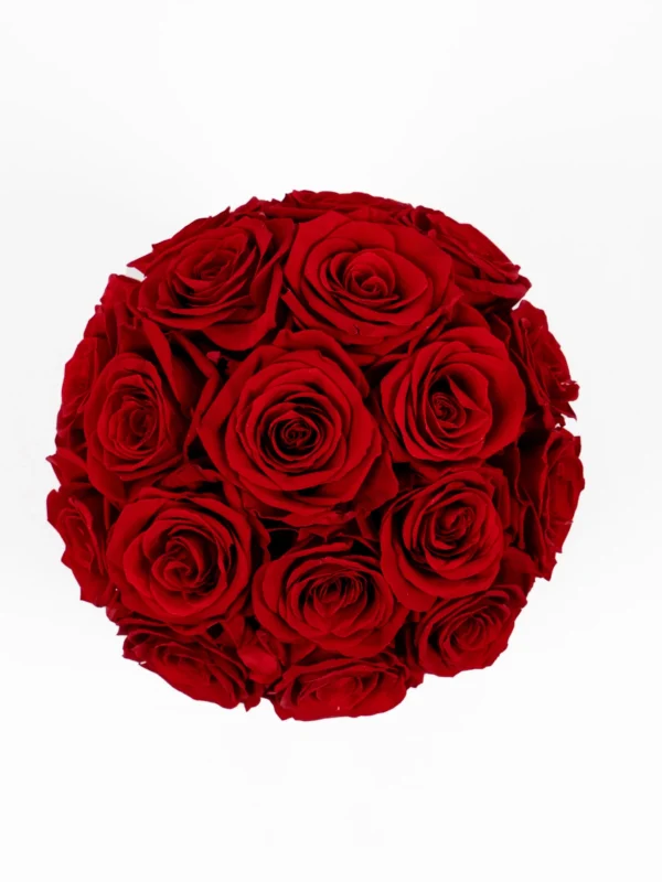 Perfectly round bouquet of vibrant red roses with lush velvety petals forming uniform ball on white background