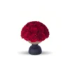 A photograph of a round, black pedestal vase holding a lush, vibrant bouquet of red roses. The roses are densely packed, with rich, velvety petals and dark green leaves peeking through. The vase is simple, modern, and sleek, with a matte finish. The background is stark white, creating a minimalist, elegant aesthetic that emphasizes the vivid red of the roses. The shadows cast by the vase and flowers are subtle, adding depth to the image.high quality, detailed, photograph , hd, 8k , 4k , sharp, highly detailed