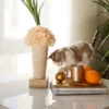 Grey and white cat on glass table next to beige vase with cream flowers and gold candle