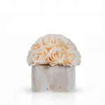 Cream roses on white marble base, minimalist floral composition with natural curves