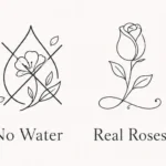 banner1.webp