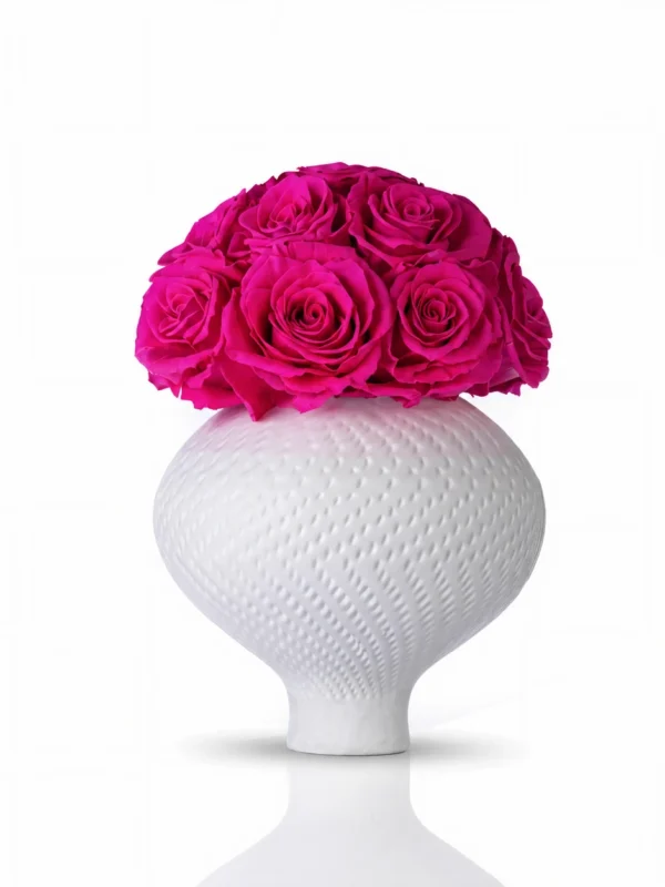 ChatGPT Image Jul 2, 2026, 07_06_37 AM.webp