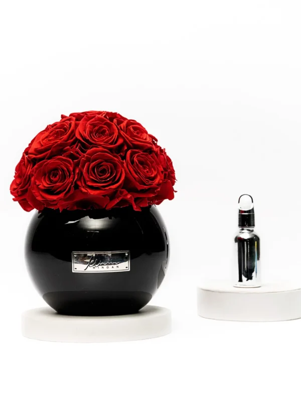 Glossy black vase with silver label holding lush red rose bouquet beside silver perfume bottle on white pedestals