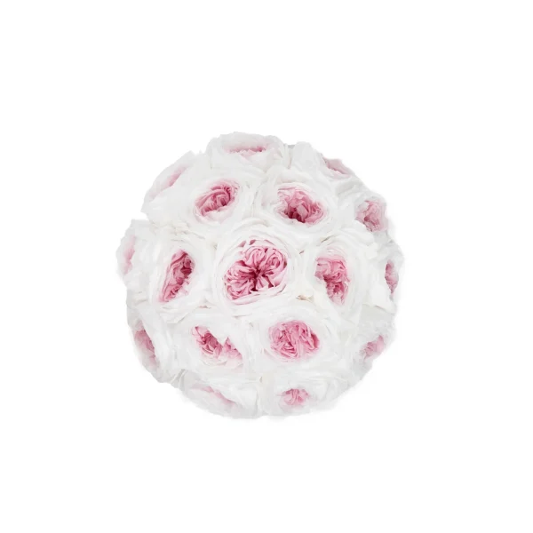 Round bouquet of numerous white roses with soft pink centers arranged in tight spherical formation