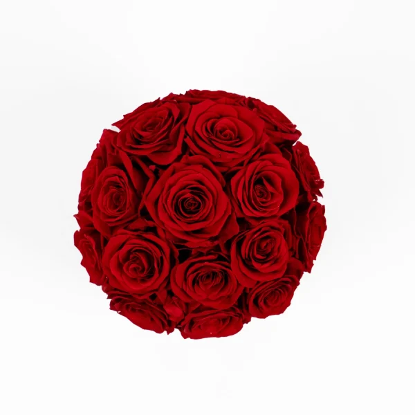 Perfectly round bouquet of vibrant red roses with lush velvety petals forming uniform ball on white background